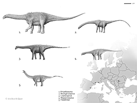 Insel-Sauropoden / © Joschua Knüppe. Verwendet mit freundlicher Genehmigung des Autors