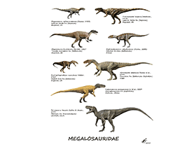 Megalosauridae / © N. Tamura. Verwendet mit freundlicher Genehmigung des Autors Megalosauridae / © N. Tamura. Verwendet mit freundlicher Genehmigung des Autors