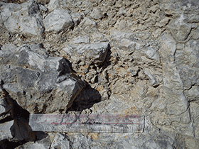 Greensand Gesteinsprobe / Samuel Poon. Creative Commons 2.0 Generic (CC BY 2.0)