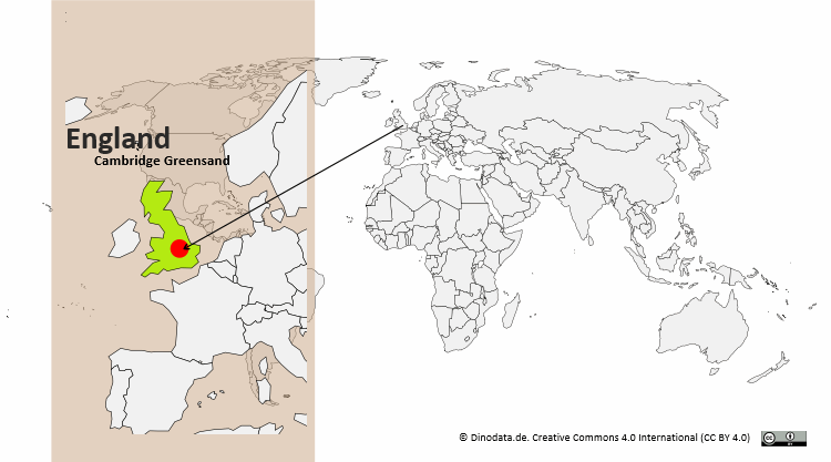 Lage der Cambridge Greensand / Dinodata.de. Creative Commons 4.0 International (CC BY 4.0)