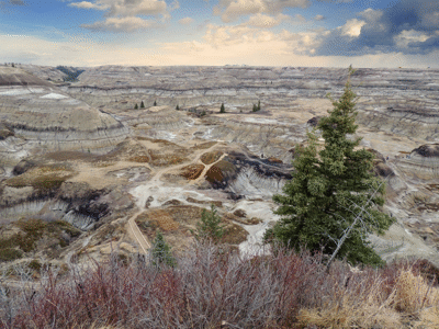 Horseshoe Canyon / Kevin M Klerks. Creative Commons 2.0 Generic (CC BY 2.0)