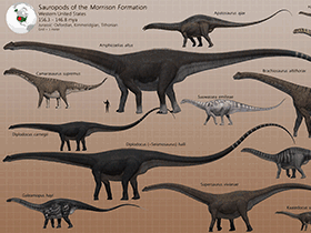 Sauropoden der Morrison Formation / © James Kuether. Verwendet mit freundlicher Genehmigung des Autors Sauropoden der Morrison Formation / © James Kuether. Verwendet mit freundlicher Genehmigung des Autors