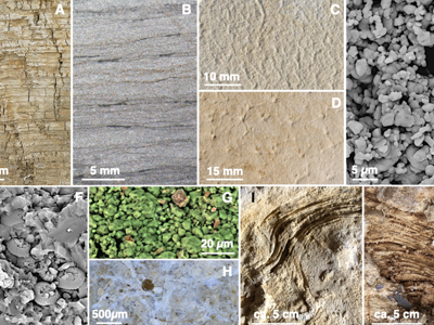 Sedimente aus Solnhofen / © Gerschermann et al. Creative Commons 4.0 International (CC BY 4.0)