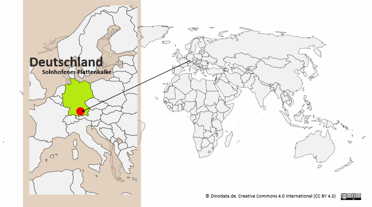 Lager der Solnhofener Plattenkalke / Dinodata.de. Creative Commons 4.0 International (CC BY 4.0)