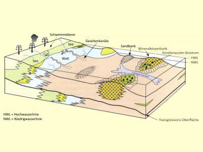 Umweltmodell / © Aberhan et al. Umweltmodell / © Aberhan et al.