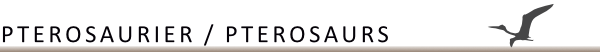 Pterosaurier / Pterosaurs