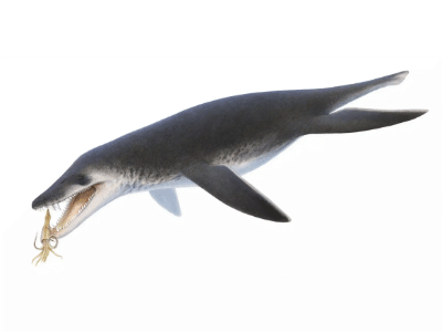 Acostasaurus / © DuskyVel Acostasaurus / © DuskyVel