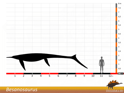 Größenvergleich / © Dinodata.de