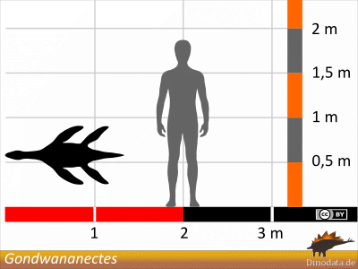 Größenvergleich / © Dinodata.de