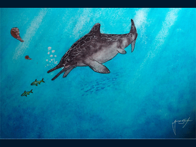 Jabalisaurus tethyensis / © Giovanni Serafini