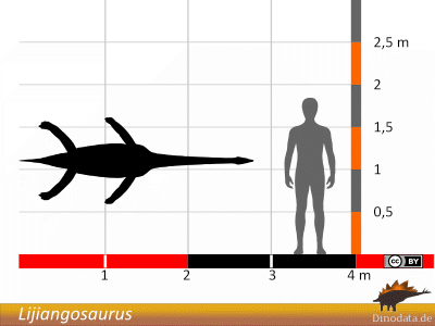 Größenvergleich / © Dinodata.de