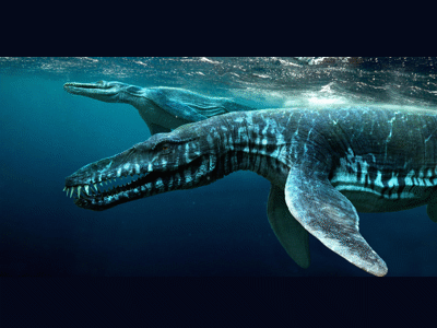 Liopleurodon / © Johnson-Mortimer