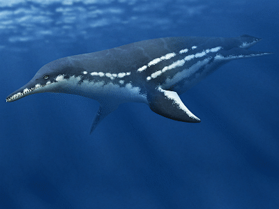 Mauriciosaurus / © Nix Illustration