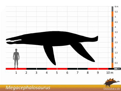 Größenvergleich / © Dinodata.de Größenvergleich / © Dinodata.de