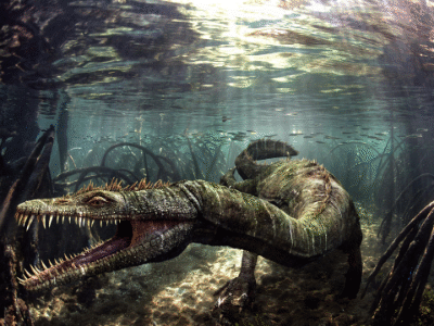 Nothosaurus / © Johnson-Mortimer Nothosaurus / © Johnson-Mortimer