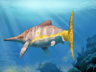 Parrassaurus / © CamusAltamirano Parrassaurus / © CamusAltamirano