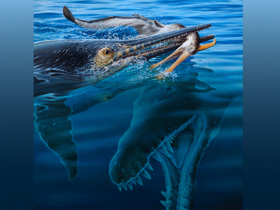 Platypterygius & Kronosaurus / © Peter Trusler