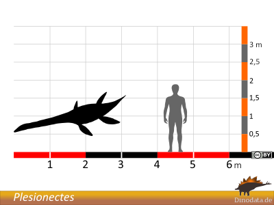 Größenvergleich / © Dinodata.de Größenvergleich / © Dinodata.de