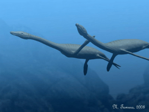 Plesiosaurus / © N. Tamura. Verwendet mit freundlicher Genehmigung des Autors Plesiosaurus / © N. Tamura. Verwendet mit freundlicher Genehmigung des Autors
