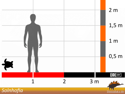 Größenvergleich / © Dinodata.de