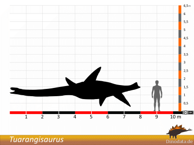 Größenvergleich / © Dinodata.de