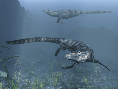 Tylosaurus / © Raul Lunia Tylosaurus / © Raul Lunia