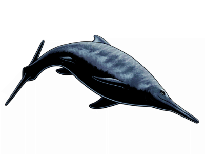 Xiphodracon / © Nixillustration.com