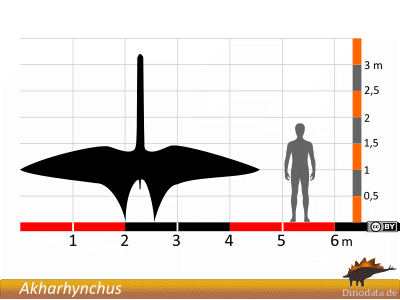 Größenvergleich / Dinodata.de. Creative Commons 4.0 International (CC BY 4.0) Größenvergleich / Dinodata.de. Creative Commons 4.0 International (CC BY 4.0)