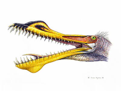 Anhanguera / © Fabio Pastori. Verwendet mit freundlicher Genehmigung des Autors Anhanguera / © Fabio Pastori. Verwendet mit freundlicher Genehmigung des Autors
