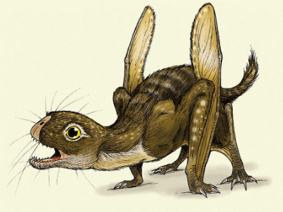 Anurognathus / © Maija Karala. Verwendet mit freundlicher Genehmigung der Autorin Anurognathus / © Maija Karala. Verwendet mit freundlicher Genehmigung der Autorin