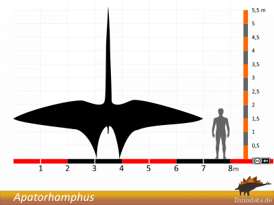 Größenvergleich / Dinodata.de. Creative Commons 4.0 International (CC BY 4.0) Größenvergleich / Dinodata.de. Creative Commons 4.0 International (CC BY 4.0)