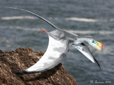 Austriadactylus
/ © N. Tamura. Verwendet mit freundlicher Genehmigung des Autors Austriadactylus
/ © N. Tamura. Verwendet mit freundlicher Genehmigung des Autors