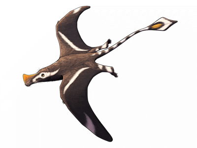 Austriadactylus
 / © Nix Illustration