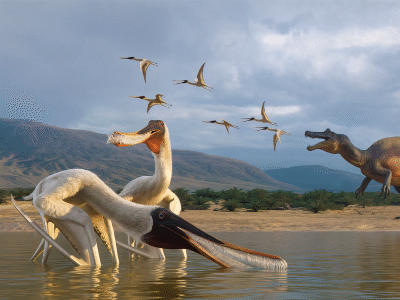 Bakiribu / © Julio Lacerda