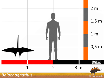 Größenvergleich / Dinodata.de. Creative Commons 4.0 International (CC BY 4.0) Größenvergleich / Dinodata.de. Creative Commons 4.0 International (CC BY 4.0)
