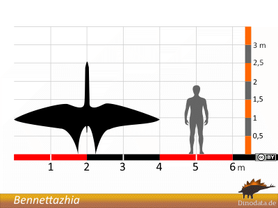 Größenvergleich / Dinodata.de. Creative Commons 4.0 International (CC BY 4.0) Größenvergleich / Dinodata.de. Creative Commons 4.0 International (CC BY 4.0)