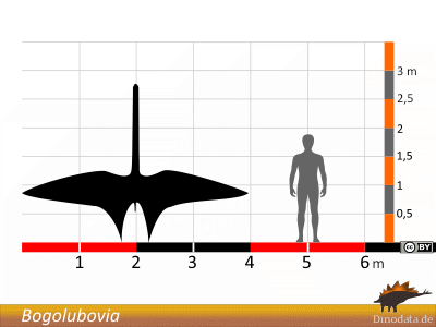 Größenvergleich / © Dinodata.de