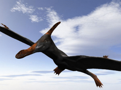 Caulkicephalus
/ © N. Tamura. Verwendet mit freundlicher Genehmigung des Autors Caulkicephalus
/ © N. Tamura. Verwendet mit freundlicher Genehmigung des Autors