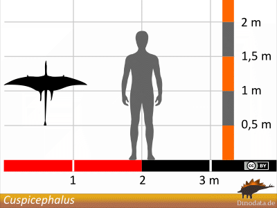 Größenvergleich / Dinodata.de. Creative Commons 4.0 International (CC BY 4.0) Größenvergleich / Dinodata.de. Creative Commons 4.0 International (CC BY 4.0)