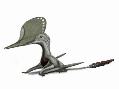Cuspicephalus / © Witton et al. Cuspicephalus / © Witton et al.