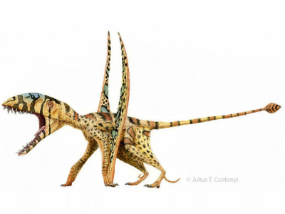 Dimorphodon / © Julius T. Csotonyi Dimorphodon / © Julius T. Csotonyi. Verwendet mit freundlicher Genehmigung des Autors.