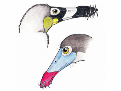 Dorygnathus / © Maija Karala Dorygnathus / © Maija Karala. Verwendet mit freundlicher Genehmigung der Autorin
