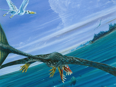 Dorygnathus / © Todd Marshall Dorygnathus / © Todd Marshall. Verwendet mit freundlicher Genehmigung des Autors.