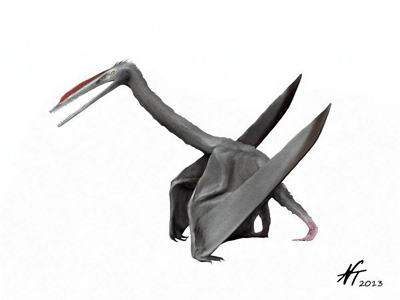 Elanodactylus /
© N. Tamura. Verwendet mit freundlicher Genehmigung des Autors Elanodactylus / © N. Tamura. Verwendet mit freundlicher Genehmigung des Autors