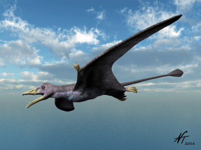 Eudimorphodon / © Nobumichi Tamura. Verwendet mit freundlicher Genehmigung des Autors Eudimorphodon / © Nobumichi Tamura. Verwendet mit freundlicher Genehmigung des Autors