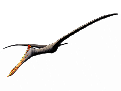 Feilongus
/ © Nix Illustration Feilongus
/ © Nix Illustration