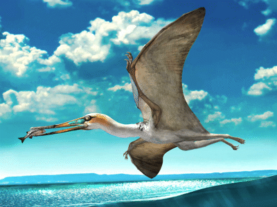 Gladocephaloideus
/ © Zhao Chuang. Creative Commons 4.0 International (CC BY 4.0) Gladocephaloideus
/ © Zhao Chuang. Creative Commons 4.0 International (CC BY 4.0)