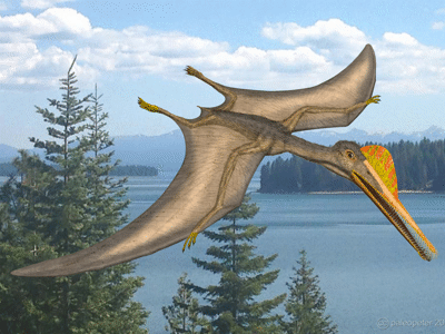 Gnathosaurus / © Peter Montgomery. Creative Commons NonCommercial 2.0 Generic (CC BY-NC 2.0) Gnathosaurus / © Peter Montgomery. Creative Commons NonCommercial 2.0 Generic (CC BY-NC 2.0)