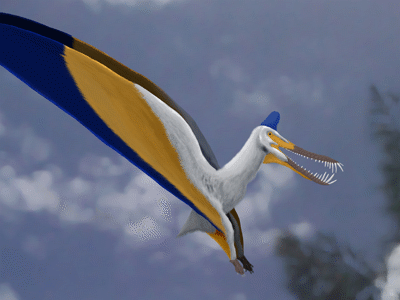 Guidraco / © Tom Parker. Creative Commons NoDerivs 3.0 Unported (CC BY-ND 3.0)
