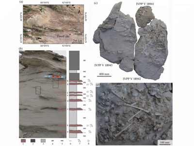 Fossilienfundstelle / © Li et al. Fossilienfundstelle / © Li et al.
